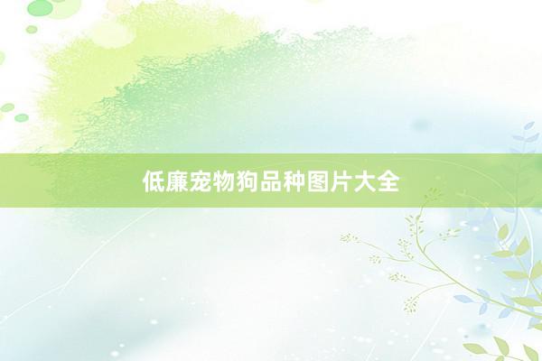 低廉宠物狗品种图片大全